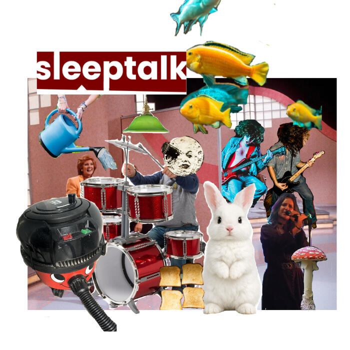 Sleeptalk